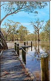 Homestead Kitchen Grampians Cooking